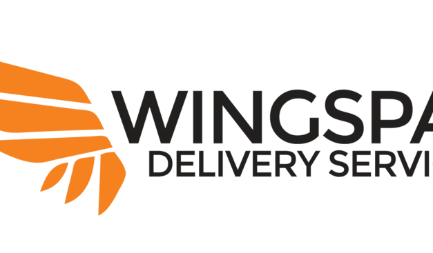 Introducing Stories from WINGSPAN